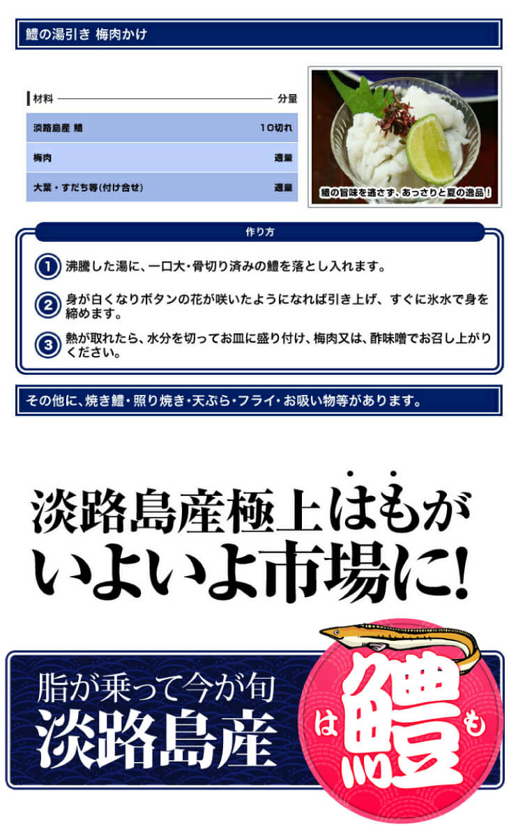 ふるさと納税 野郎水産 淡路島売物 自然鱧を使った鱧ちり揃い 4 5労働力正面 配送5月灯かり日日 9月15日 Daemlu Cl