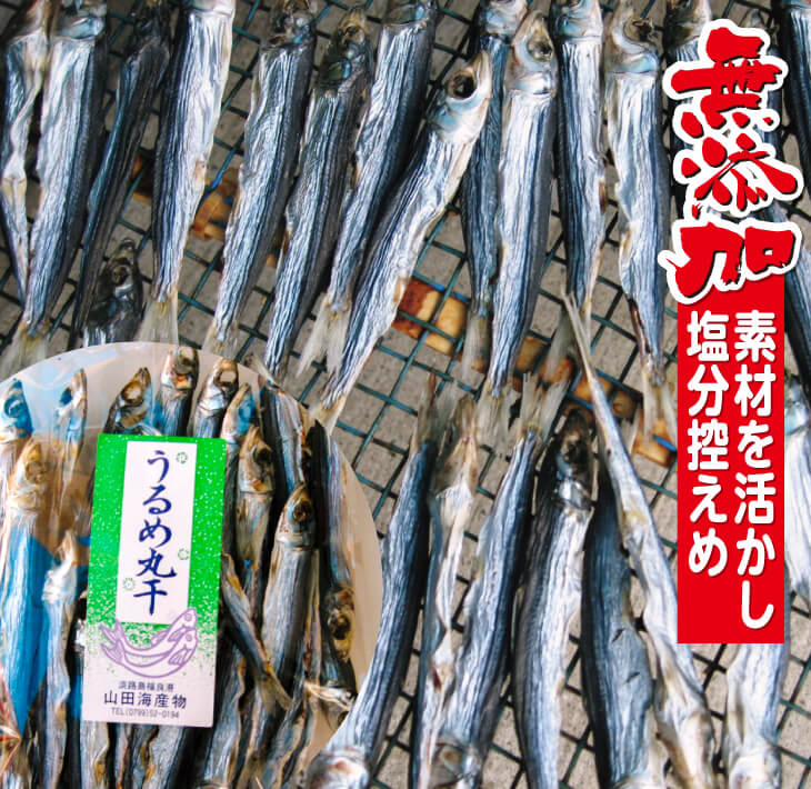 【ふるさと納税】うるめ丸干130ｇ入り×3袋