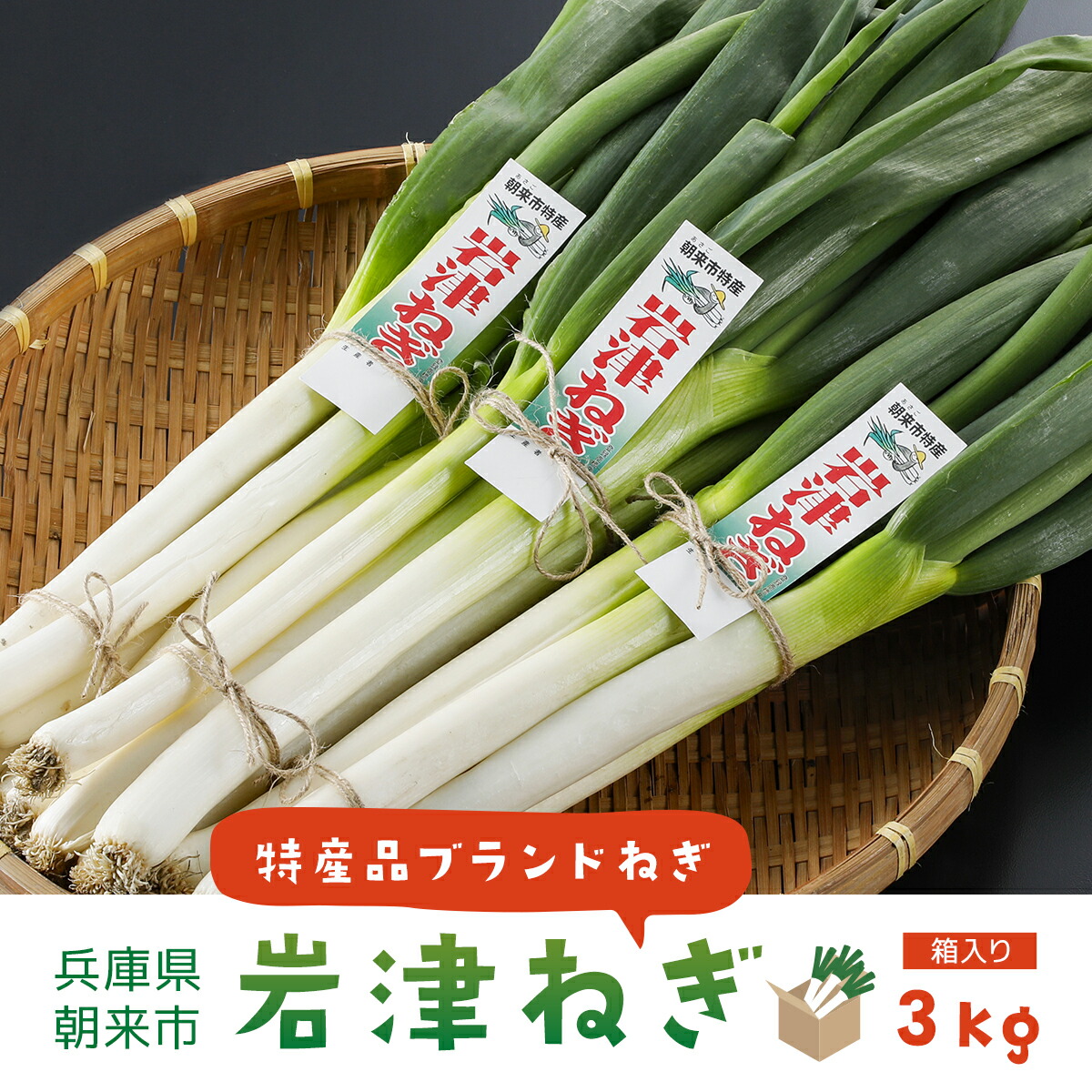 楽天市場】【ふるさと納税】越津ねぎ 約3kg ／ 野菜 国産 白ネギ