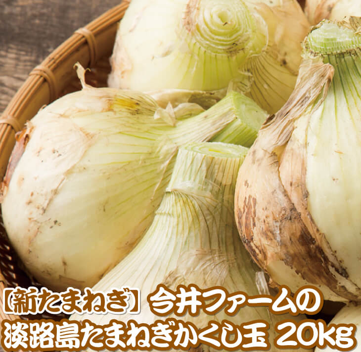 値引 【ふるさと納税】【新たまねぎ】今井ファームの淡路島たまねぎ「かくし玉」20kg 高質-css.edu.om