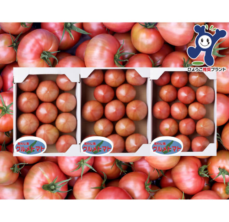 【ふるさと納税】三谷さんの淡路島グルメトマト1～3kg