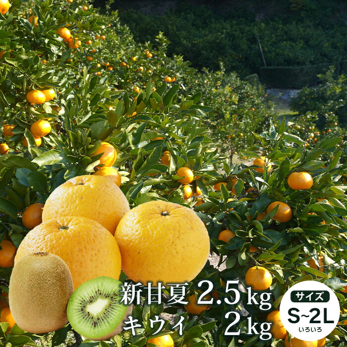 片山農園の淡路島産新甘夏2.5kgとキウイ2.0kg