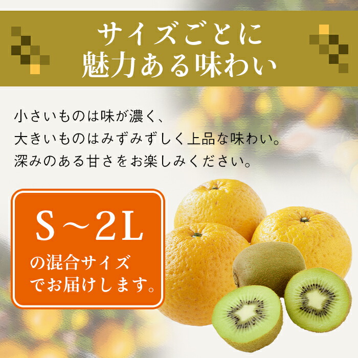 偉大な 片山農園の淡路島産新甘夏2.5kgとキウイ2.0kg fucoa.cl