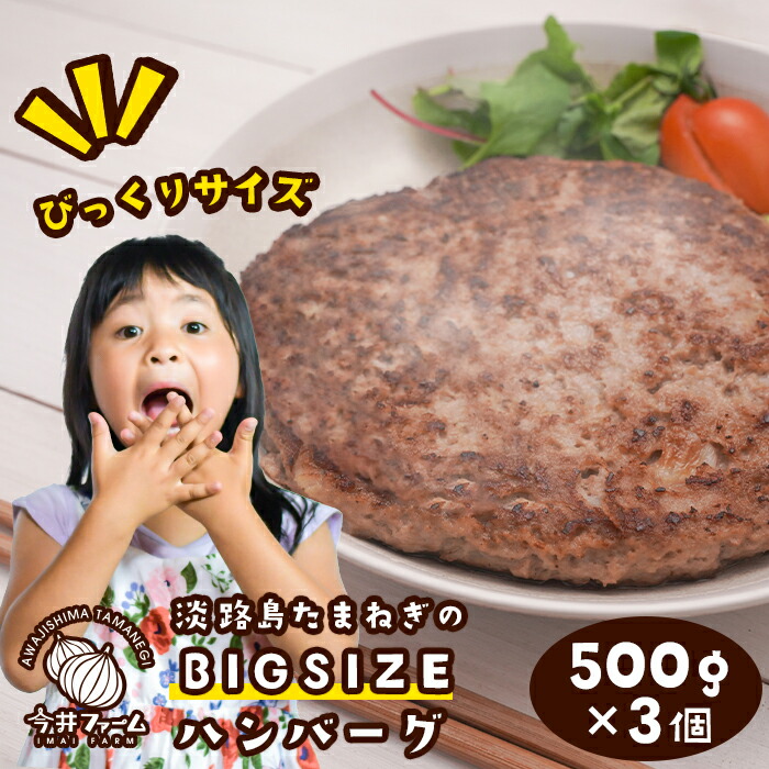 品質満点！ 淡路島たまねぎのBIG SIZEハンバーグ 500g×3個 www.basexpert.com.br