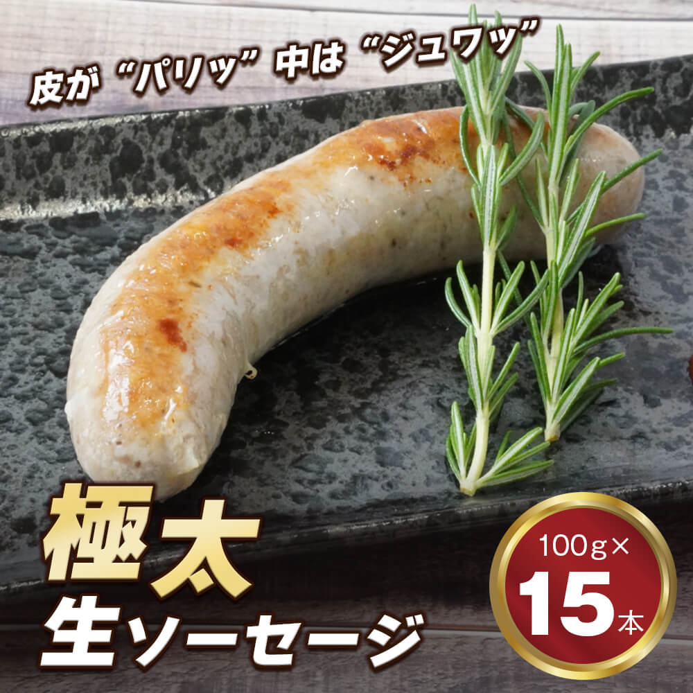 【ふるさと納税】生ポークソーセージ 100g×15本入り　冷凍 BBQ 焼肉 豚肉 弁当