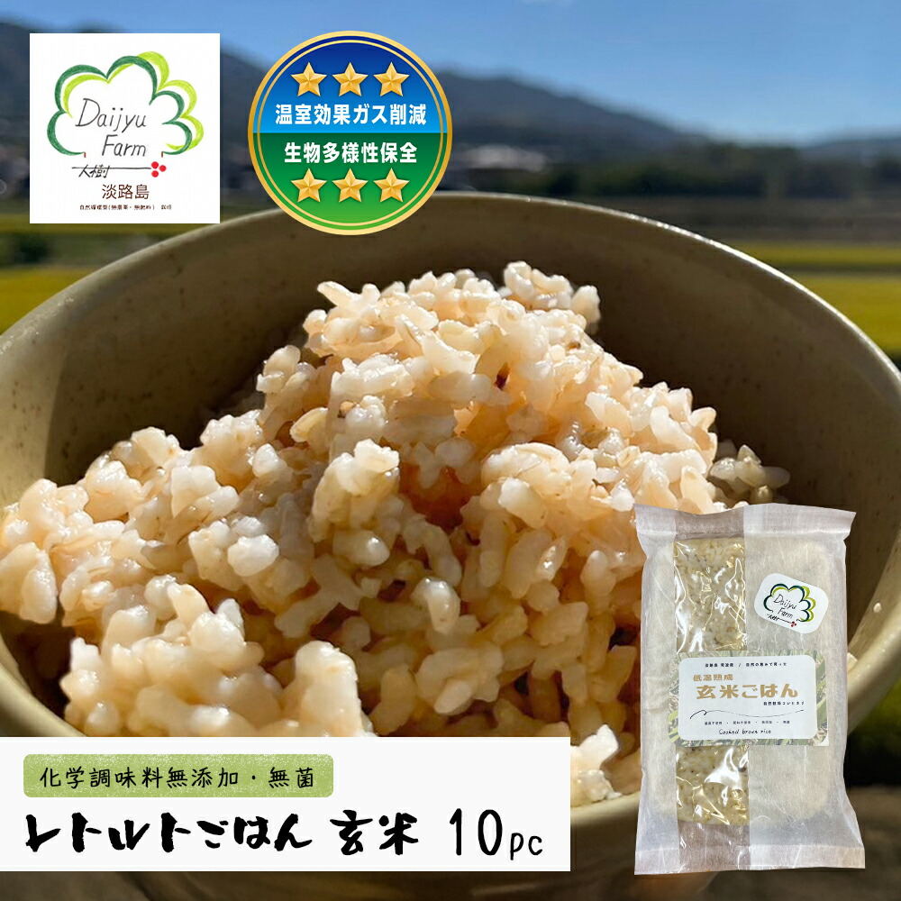 【ふるさと納税】レトルトごはん（玄米） 10パックセット 化学調味料無添加・無菌