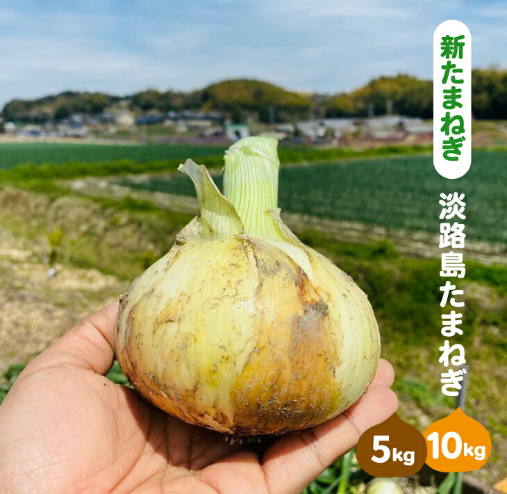 【ふるさと納税】【新たまねぎ】淡路島たまねぎ(5キロ・10キロ)【発送時期：2025年5月～6月上旬頃】