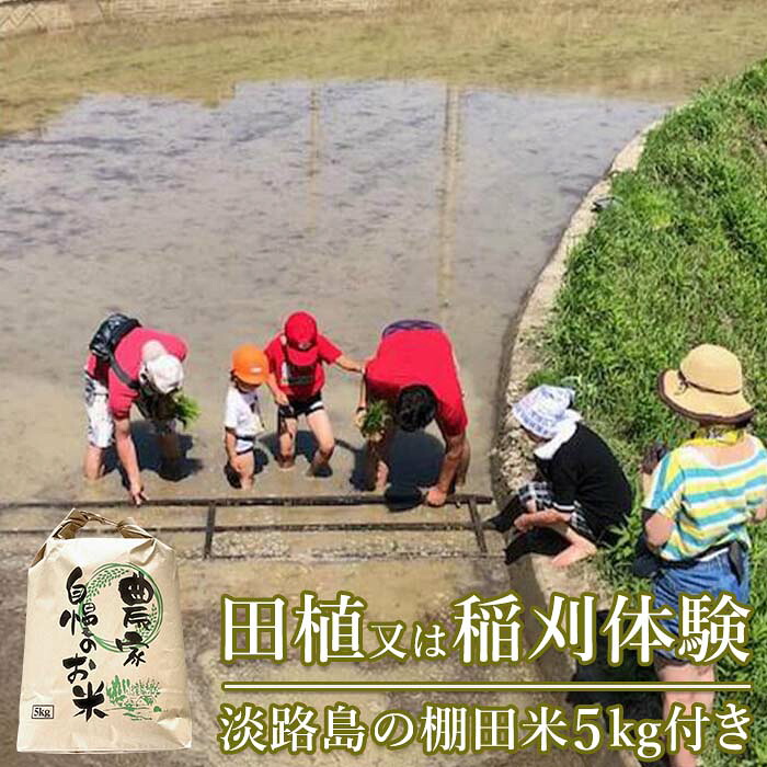 【ふるさと納税】田植又は稲刈体験　淡路島の棚田米5kg付｜兵庫県淡路市