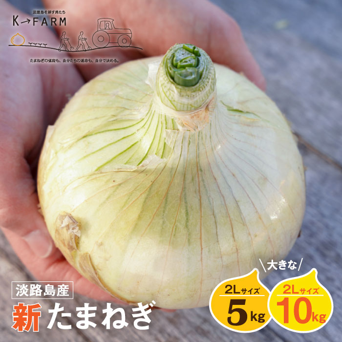 【ふるさと納税】【新たまねぎ】淡路島たまねぎ 大きな2Lサイズ 5kg・10kg【発送時期：2025年3月中旬～6月上旬頃】  玉ねぎ たまねぎ 大玉 特大 国産 野菜 サラダ用 みずみずしい 甘みたっぷり 産地直送 新鮮 人気 高評価