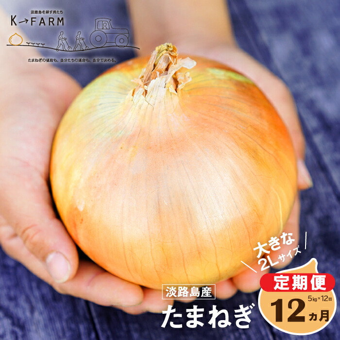 【ふるさと納税】【定期便12ヶ月】淡路島たまねぎ 大きな2Lサイズ 5kg  玉ねぎ たまねぎ 大玉 特大 国産 野菜 サラダ用 甘みたっぷり 産地直送 人気 高評価