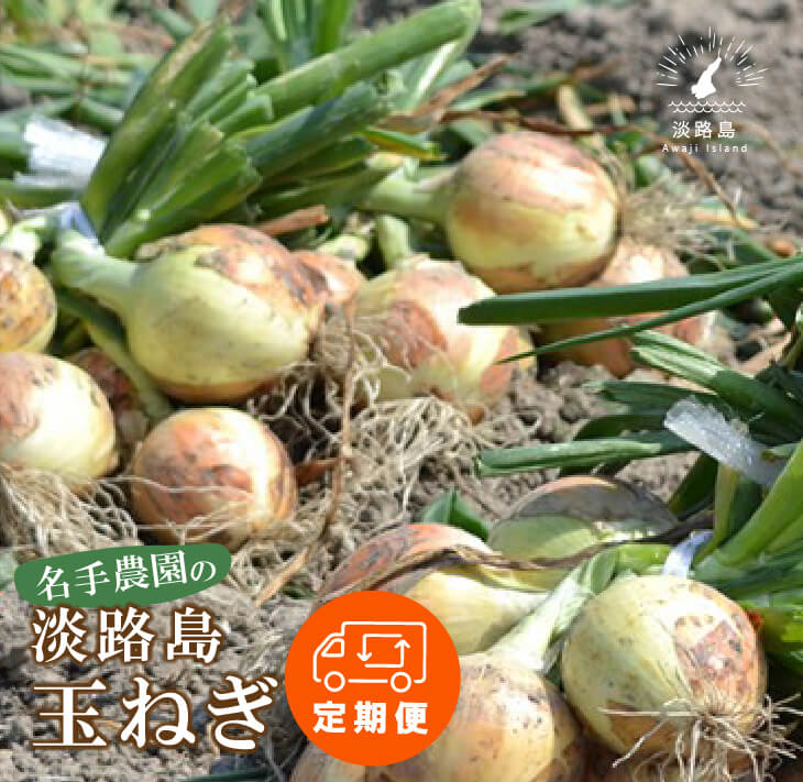 ふるなび ふるさと納税 玉ねぎ 20kg 北海道津別町 010-13054-b01B 特別栽培