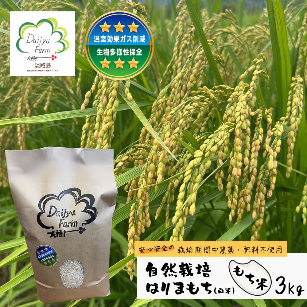 【ふるさと納税】自然栽培もち米　はりまもち（白米）　3kg