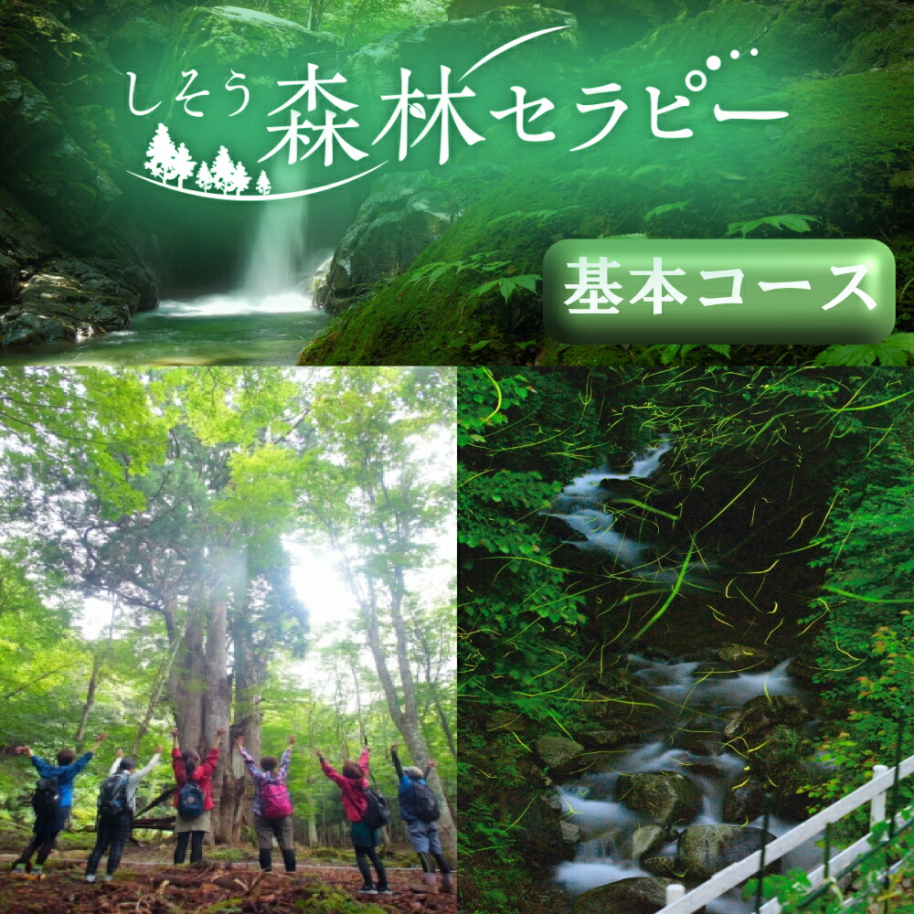 【楽天市場】【ふるさと納税】BE1 しそう 森林 セラピー 基本 コース 【 体験 アクティビティ 森林浴 新緑 紅葉 健康増進 癒し 散歩