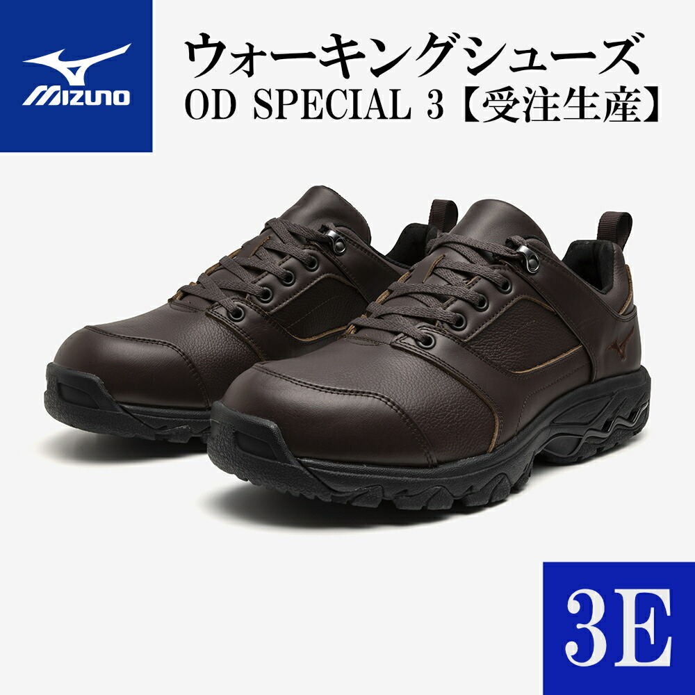 【ふるさと納税】AO2 ミズノウォーキングシューズ【赤銅色3E】 OD SPECIAL 3  (mizuno 購入注文シューズ なめし革 生まれながらなめし革 Wgrip積み上げる 取りつくろう ほっつき歩く 購入注文お手伝いさん 手作り 日本製 本革 ウォーキング シューズ 幅ひろい 厄介なもの和らげる)
