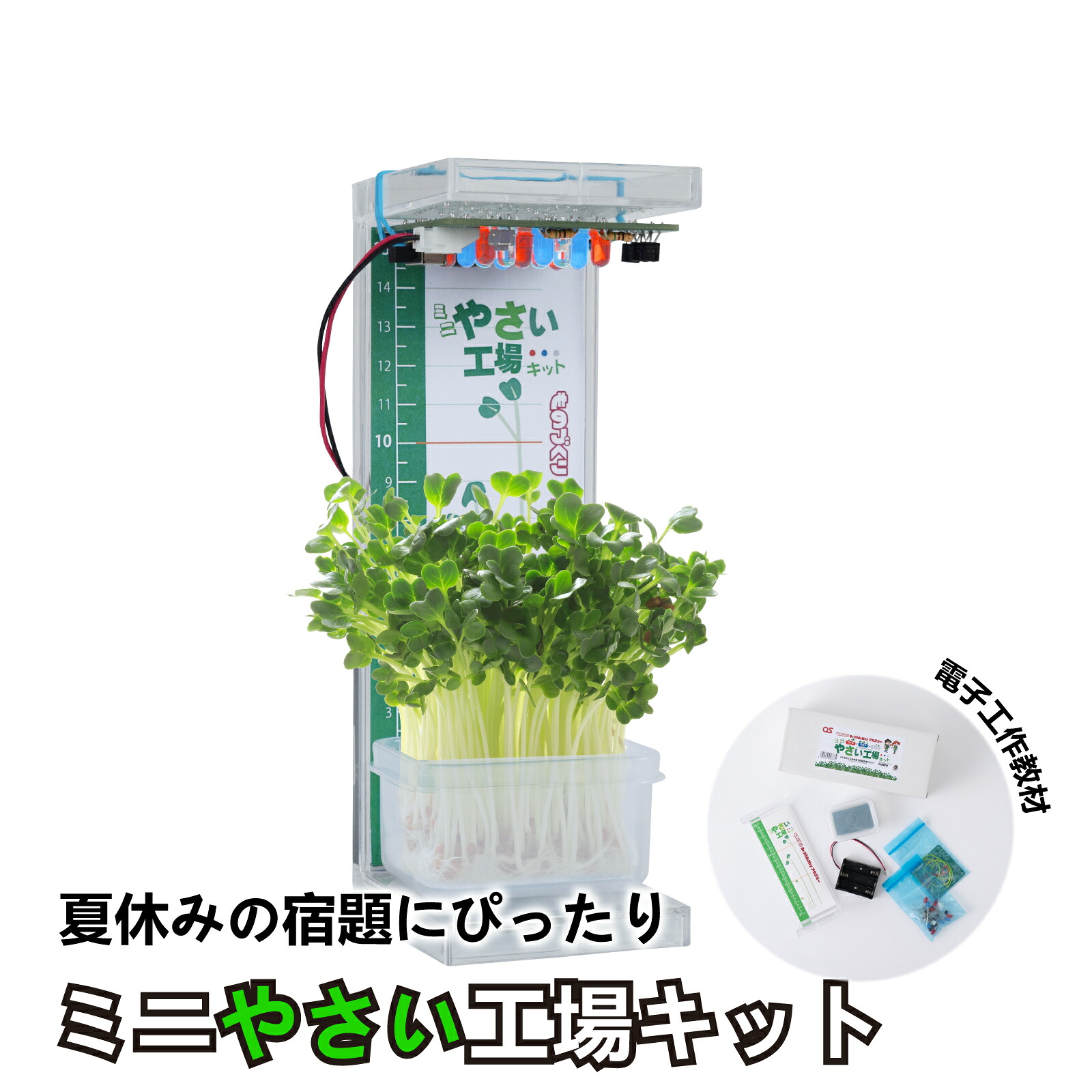 【ふるさと納税】電気工作一揃いの道具 ミニやさい工業プラント 一揃いの道具学びとる教材 仕立て上げる 夏休み 課題 一揃いの道具 学び  教材 手作り 其の儀づくり 蔬菜 やさい 飾り気の無い 食育 LED AG21