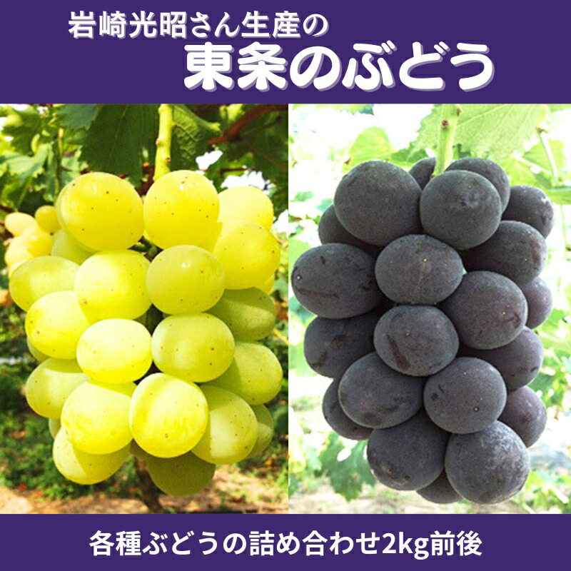 【ふるさと納税】《令和7年産》岩崎光昭さん生産の「東条のぶどう」 食べ比べ  [ ぶどう ブドウ 葡萄 フルーツ 果物 詰合せ 2kg ] 　お届け：2025年8月21日～2025年9月25日