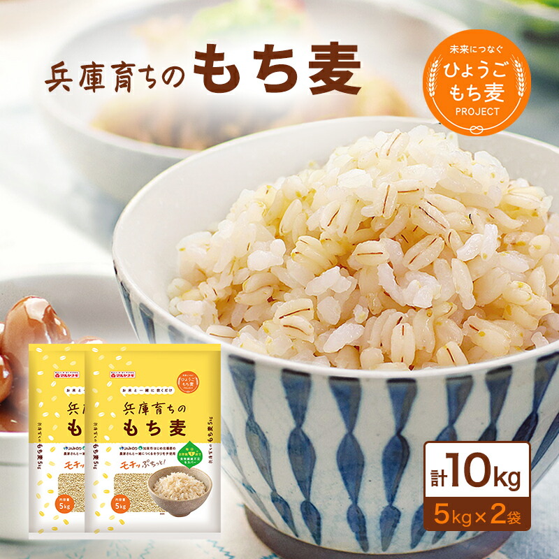【ふるさと納税】兵庫育ちの もち麦 10kg [国産 キラリモチ 食物繊維 ] 雑穀 モチ麦
