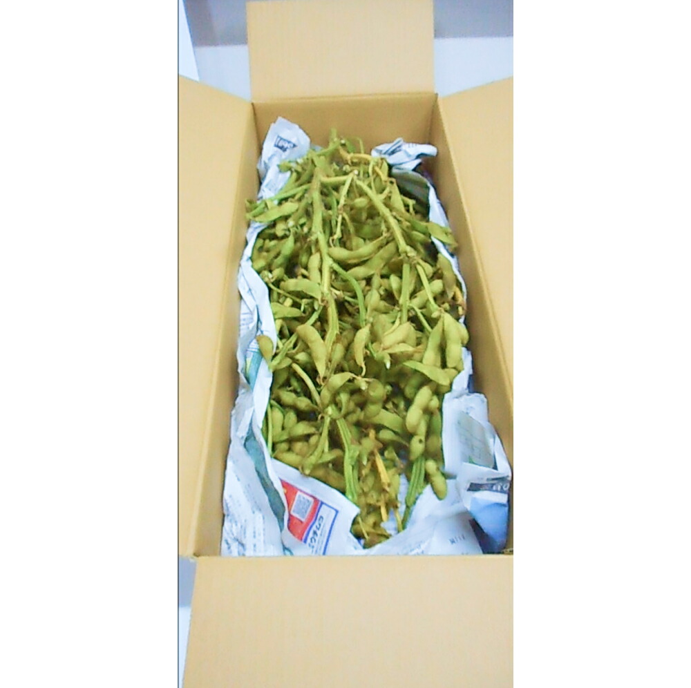 【ふるさと納税】令和7年産 加東市産 丹波種 枝付き 黒枝豆 2kg [ 野菜 えだまめ 枝豆 ビール おつまみ 数量限定 ] 　お届け：2026年10月中旬～2026年10月末