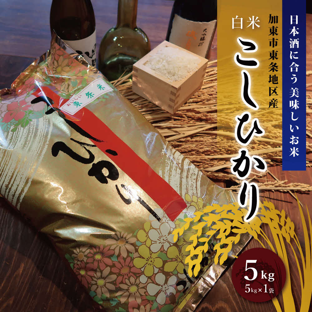 特別栽培米 コシヒカリ 白米 5kg
