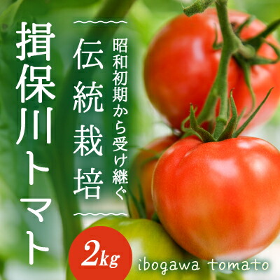 【ふるさと納税】H-14　【昭和初期から受け継ぐ伝統栽培】酸味と甘みのバランスがよい「揖保川トマト」2kg【発送時期：12月～６月】