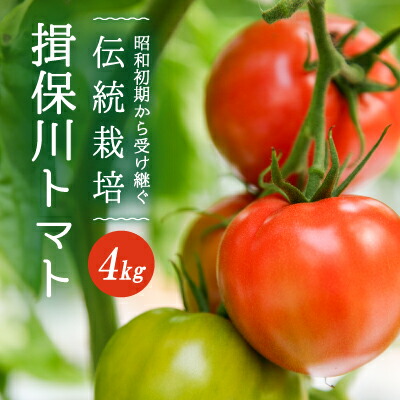 【ふるさと納税】G-9【昭和初期から受け継ぐ伝統栽培】酸味と甘みのバランスがよい「揖保川トマト」4kg【発送時期：12月～６月】