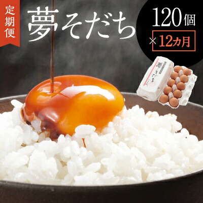 【ふるさと納税】C-3【12か月定期便】お届け日時の指定可能「夢そだち120個」厳選飼料を食べて育った自社養鶏場の新鮮卵を♪