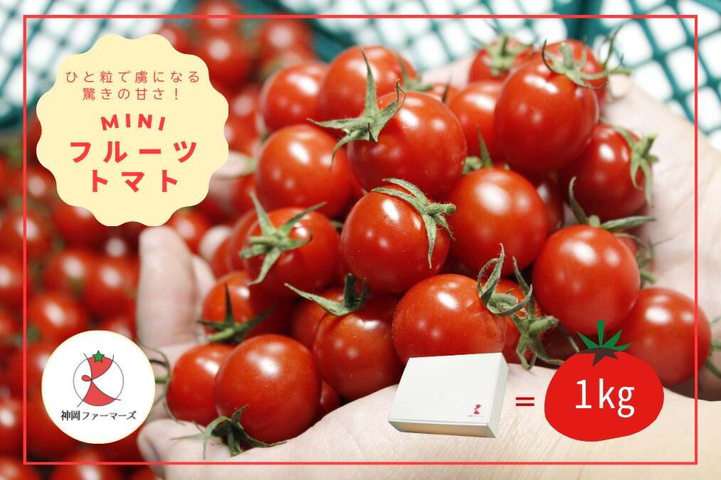 楽天市場】【ふるさと納税】 うるつやトマト糖度8 ／ とまと 野菜 高