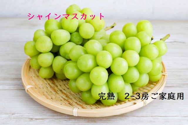 【ふるさと納税】U-14　シャインマスカット　２～３房　1kg～1.2kg｜兵庫県たつの市 13,000円