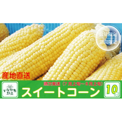 【ふるさと納税】【産地直送】猪名川町産スイートコーン　10本(約3～4kg)【配送不可地域：離島】【1497773】