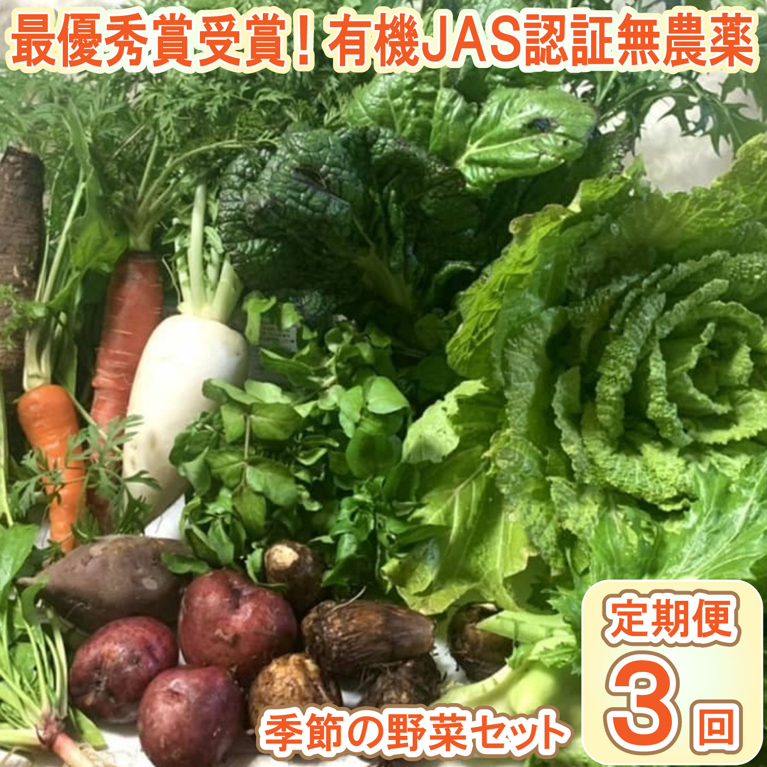 【ふるさと納税】【最優秀賞受賞！甘味＆栄養】有機JAS認証の無農薬、チヨちゃんの野菜３ヶ月定期[942]