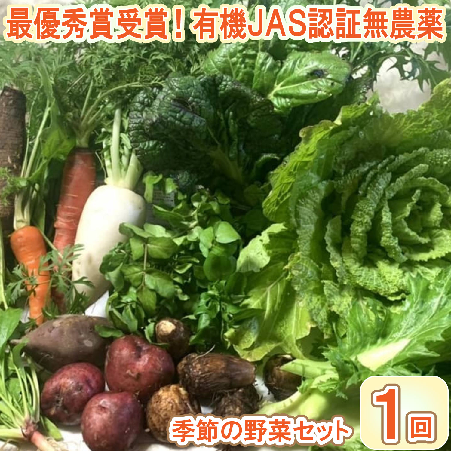【ふるさと納税】【最優秀賞受賞！甘味＆栄養】有機JAS認証の無農薬、チヨちゃんの野菜１回のみ[952]