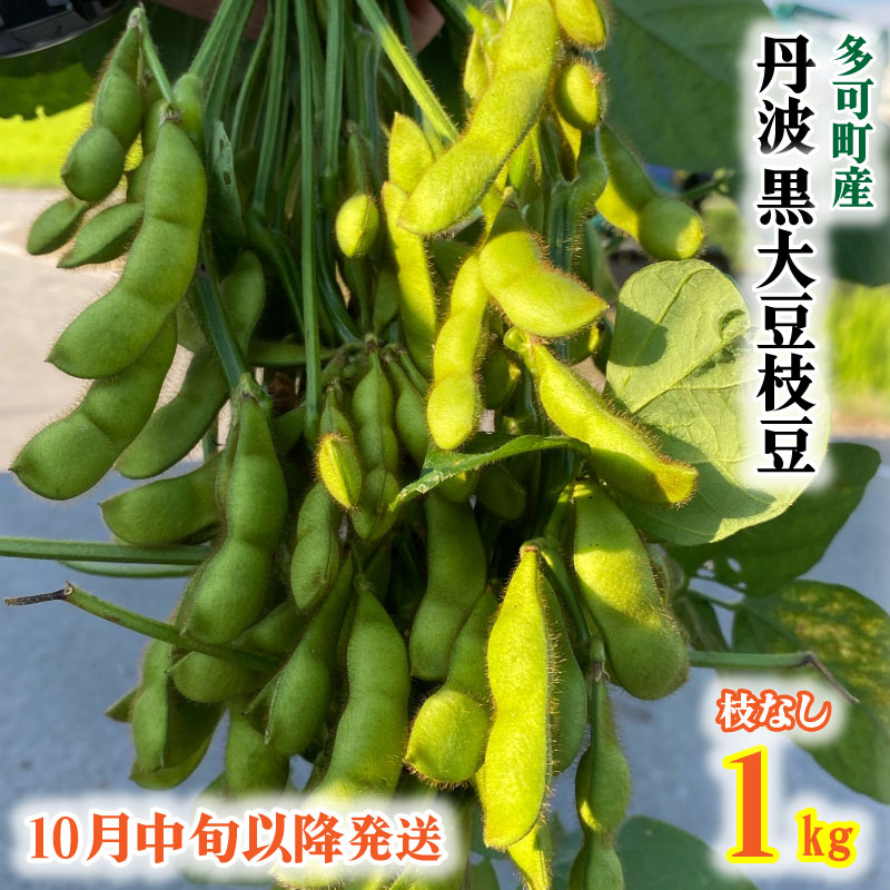 【ふるさと納税】旬の味！丹波黒枝豆（枝なし）１kg[912]