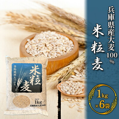 【ふるさと納税】兵庫県産大麦100％ 米粒麦 1kg×6袋 お弁当 おにぎり 食卓 産地直送 主食 炭水化物 食べ物 食品 食物繊維 食物繊維たっぷり 健康食材 麦ごはん さっぱり お米そっくり
