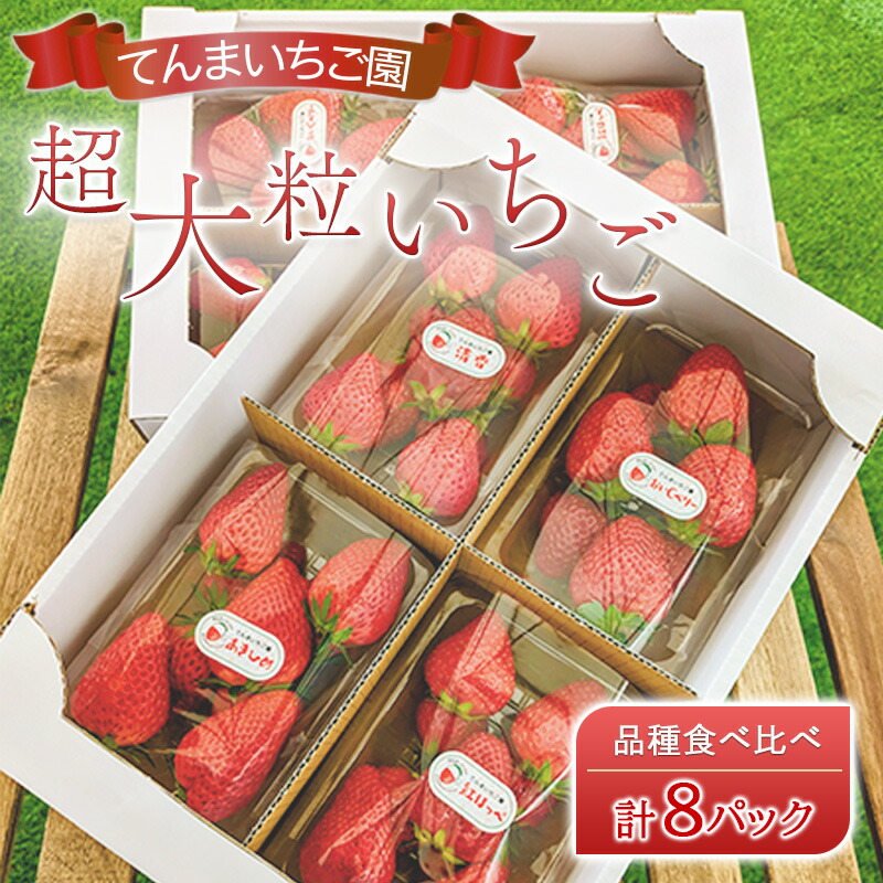 【ふるさと納税】【予約受付】てんまいちご園　超大粒いちご 8パックセット　品種食べ比べボックス　いちご イチゴ 食べ比べ 超大粒 大粒 兵庫県 稲美町 果物類 苺 　お届け：2026年1月～4月下旬頃にお届け