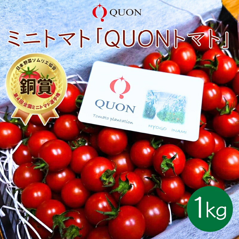 【ふるさと納税】ミニトマト 「 QUONトマト 」1kg 化粧箱入[ QUON 甘い トマト 志づ華乃 高糖度 プレゼント ]　お届け：2025年4月上旬～2025年7月下旬