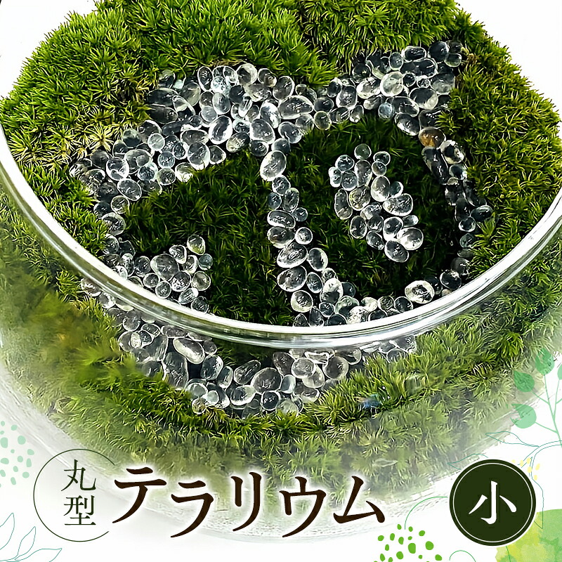 【ふるさと納税】丸型テラリウム（小）
