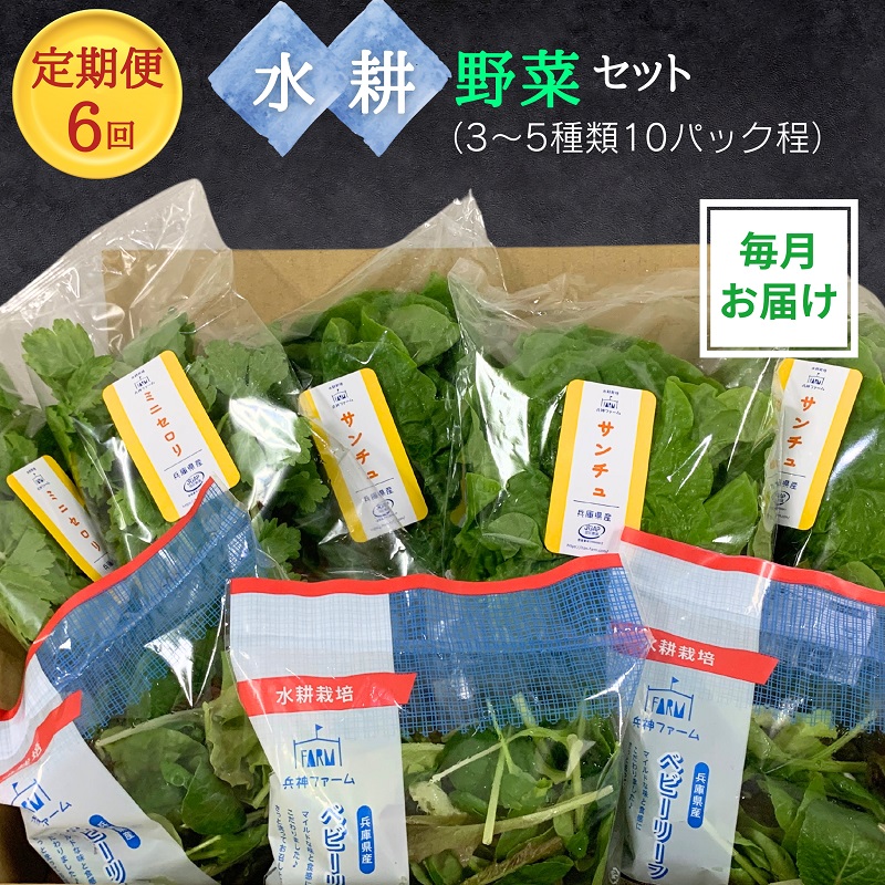 【ふるさと納税】【定期便6回】毎月お届け 水耕野菜セット（3～5種類10パック程）