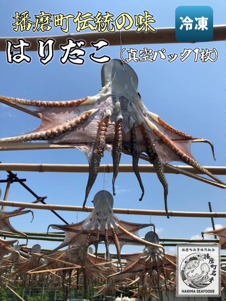 【ふるさと納税】播磨町産 はりだこ(ほしだこ)１匹 播磨町産 活け〆はりだこ 1匹 セット タコ 海鮮 魚介類 瀬戸内 兵庫県 播磨町