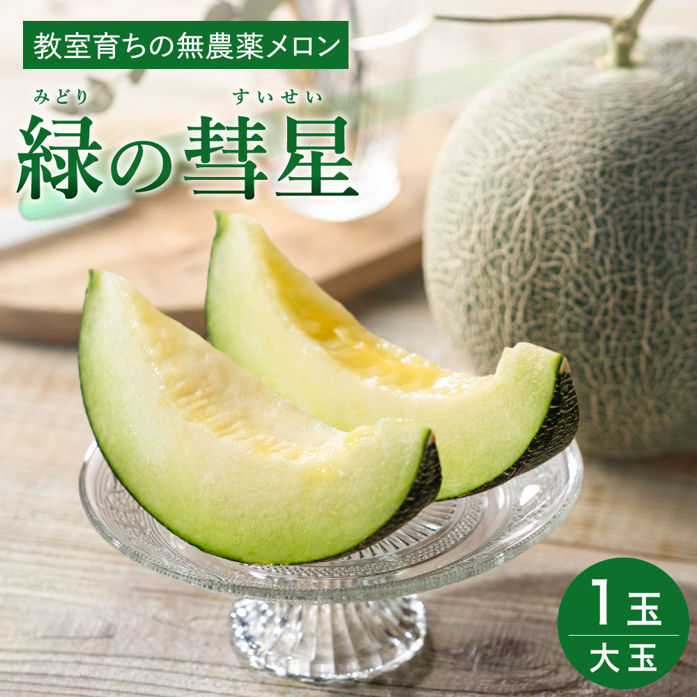 【ふるさと納税】感動メロン「緑の彗星」1玉 数量限定 果物  フルーツ メロン お取り寄せ 旬 送料無料 010HS01N.