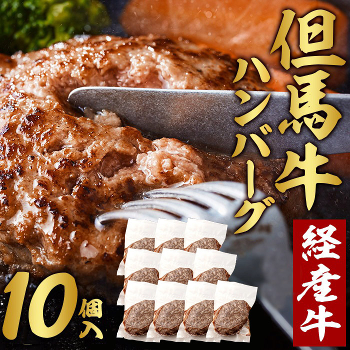 ふるさと納税 飛騨牛 ハンバーグ 5枚セット（1枚150g）個数300個限定で ウインナー コロッケ 5個付き1個当たり60g | 肉のかた山 M16S29 岐阜県美濃加茂市 ふるさと納税 飛騨牛 ハンバーグ ロースバーグ 150g×5枚 計750g 和牛