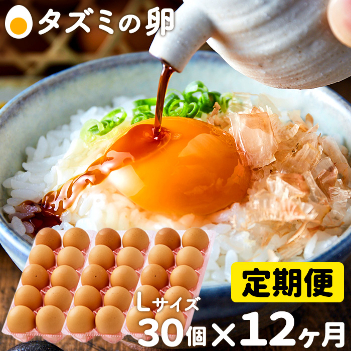 ふるさと納税 060ab01n タズミの卵lサイズ 30個 12ヶ月 天然飼料ですくすく育ったタズミのたまご 有限会社 当時の環境や築城工法など新たな Diasaonline Com