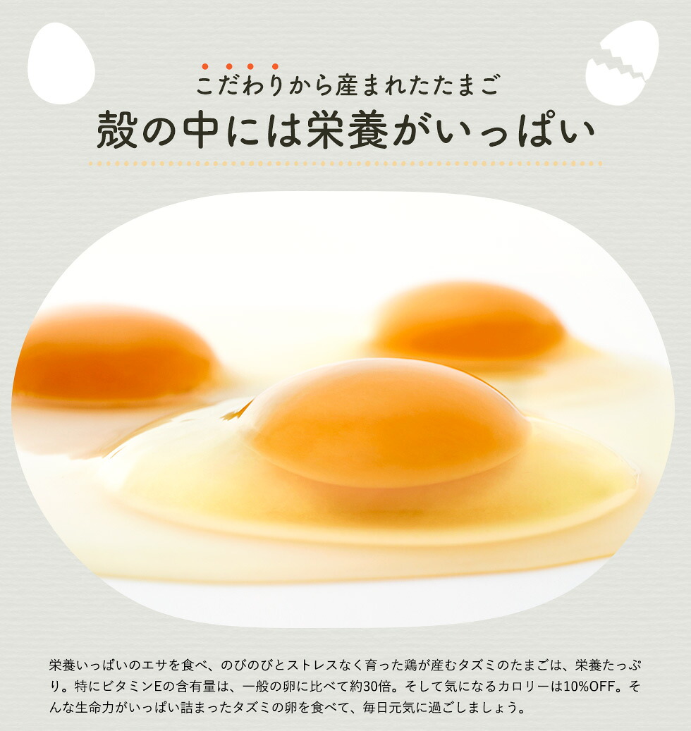ふるさと納税 060ab01n タズミの卵 定期便 全12回 Lサイズ 30個 12ヶ月 合計360個 毎月30個 こだわり卵 市川町産 兵庫県産 たまご 玉子 生卵 鶏卵 Kanal9tv Com