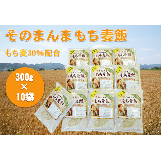 ふるさと納税 そのまんま 論なく麦飯 食事制限範式起こす 穀類 お届け 21年算11月読 22年9月 兵庫県福崎里村 Maxtrummer Edu Co