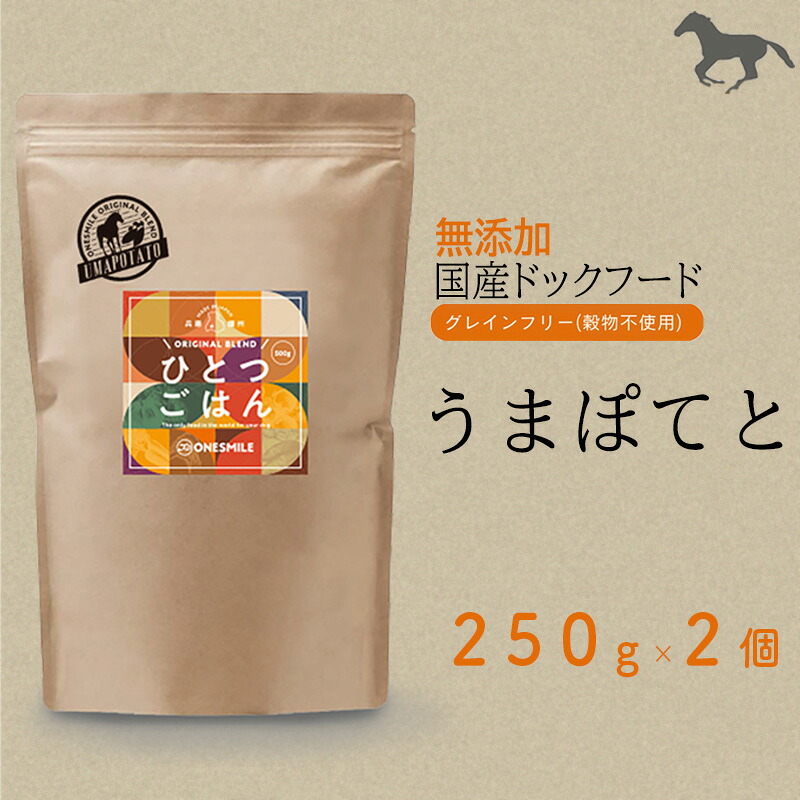【ふるさと納税】愛犬ごはん【ひとつごはん】うまぽてと500g 250g×2 無添加 馬肉 厳選素材 ドッグフード