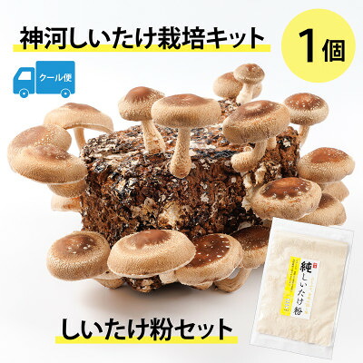 【ふるさと納税】神河しいたけ栽培キット(しいたけ菌床)1個としいたけ粉セット ※5月~10月順次発送【配送不可地域:離島】【1411539】|兵庫県神河町