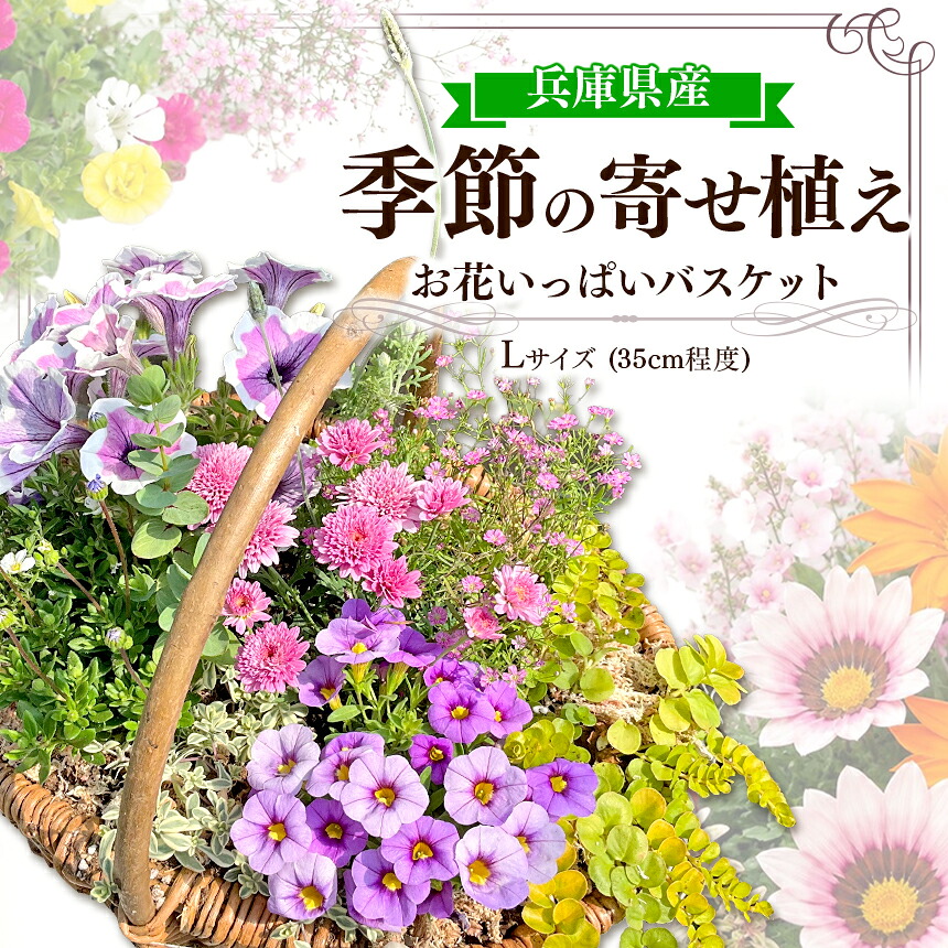 【ふるさと納税】 お花一杯提げ篭寄せ植え L大きさ(35珊度合い) 時期の寄せ植え | お花 花 提げ篭 時期の花 ガーデニング 庭園 寄せ植え 苗 兵庫県 上郡町