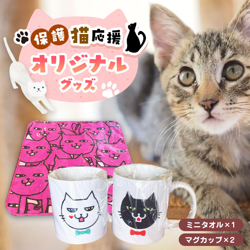 【ふるさと納税】 一風変わった 猫のコップ (2個) と ミニ西洋手ぬぐいの仕掛ける 【防御すること猫勇気付ける】 | 猫 猫 ミニ西洋手ぬぐい ミニ 西洋手ぬぐい コップ 優勝杯 兵庫県 上郡町 防御すること猫 勇気付ける
