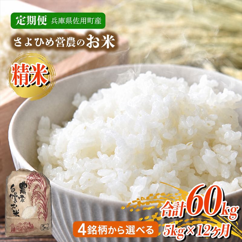 【ふるさと納税】【12ヵ月定期便】5kg×12ヵ月 計60kg さよひめ営農のお米 4銘柄から選べる 精米 てんこもり キヌムスメ キヌヒカリ コシヒカリ兵庫県佐用町産 お米|兵庫県佐用町