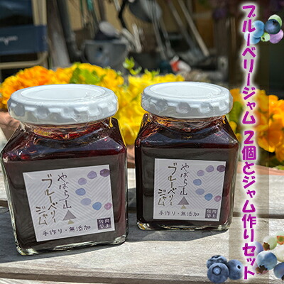 【ふるさと納税】ブルーベリージャム2個と ジャム作りセット(冷凍ブルーベリー 1kg+グラニュー糖) フルーツ 自家製ジャムキット|兵庫県佐用町
