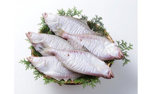 えてかれい 大判 5枚 甘干えてかれい 送料無料 約900g 一夜干し カレイ詰合わせ 敬老の日 ギフト 干物 海鮮セット 詰め合わせ 旅館の朝食 お取り寄せグルメ 朝食 海鮮 魚 お歳暮 おうち時間 家族 御贈答 内祝い ひもの 干物ギフト 冷凍 08-07